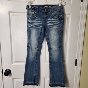 Series 31 Trendy Blue Low Rise, Flare Jeans